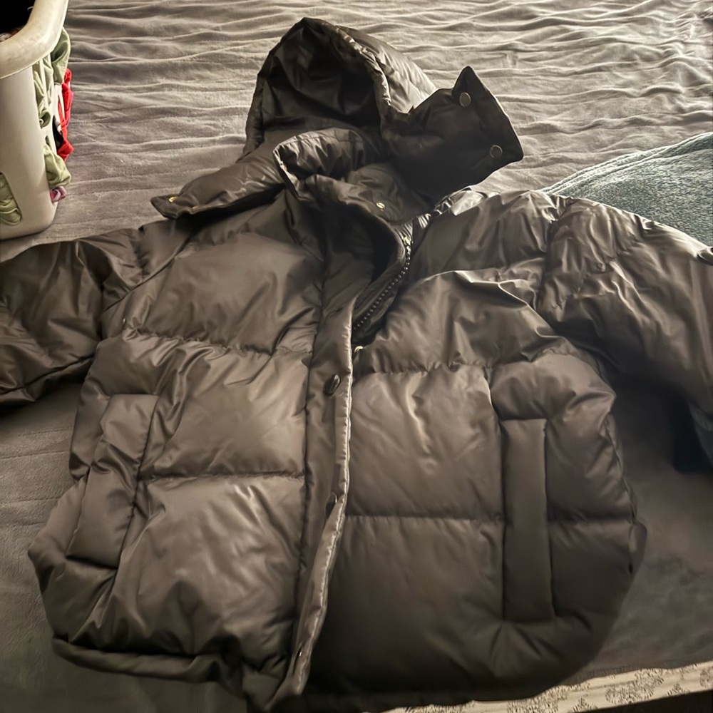 NWT Women’s Coach Short Down Puffer Coat in Black, CB633, Sz S